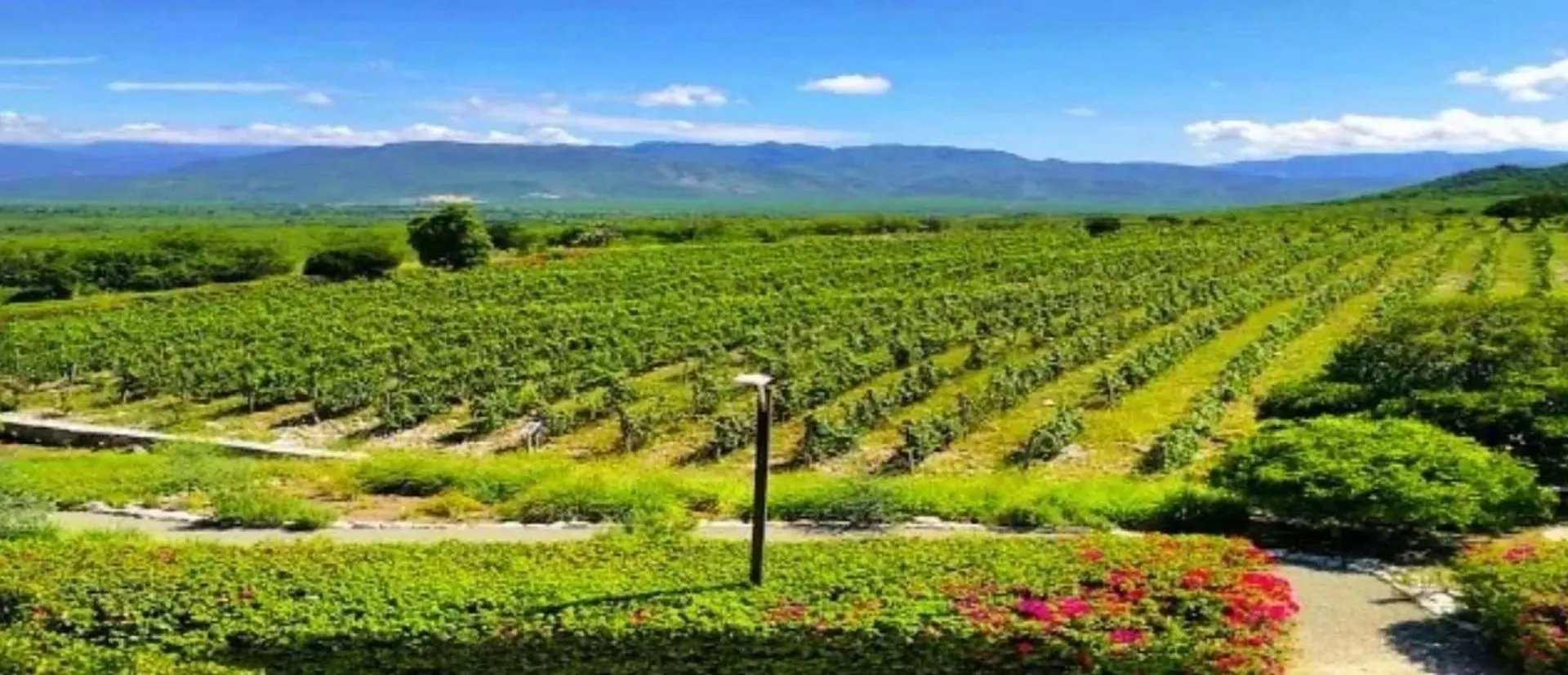 Villa Los Almendros - 2 Pools And Private Tennis Court バニ